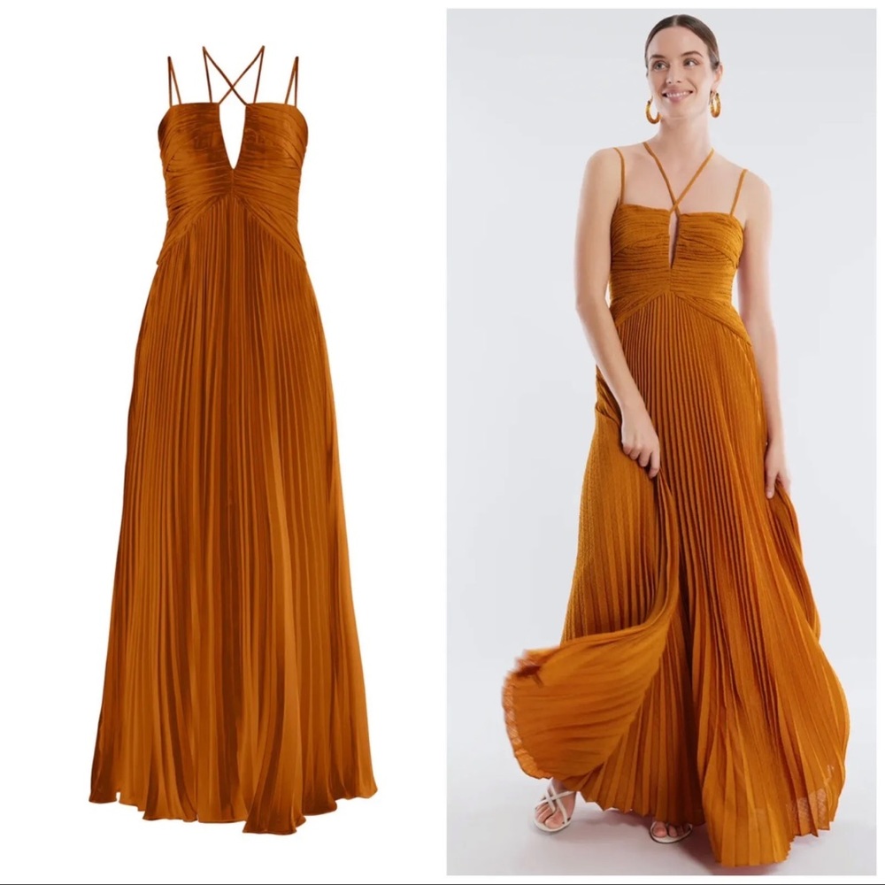 BCBGMAXAZRIA Ziv Chiffon Maxi Gown in Rust Color size 6